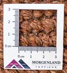 Nepal tapijt - 140 x 70 cm - bruin