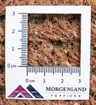 Nepal tapijt - 140 x 70 cm - bruin