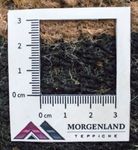 Nepal tapijt - 140 x 70 cm - veelkleurig