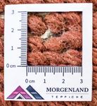 Nepal tapijt - 140 x 70 cm - veelkleurig