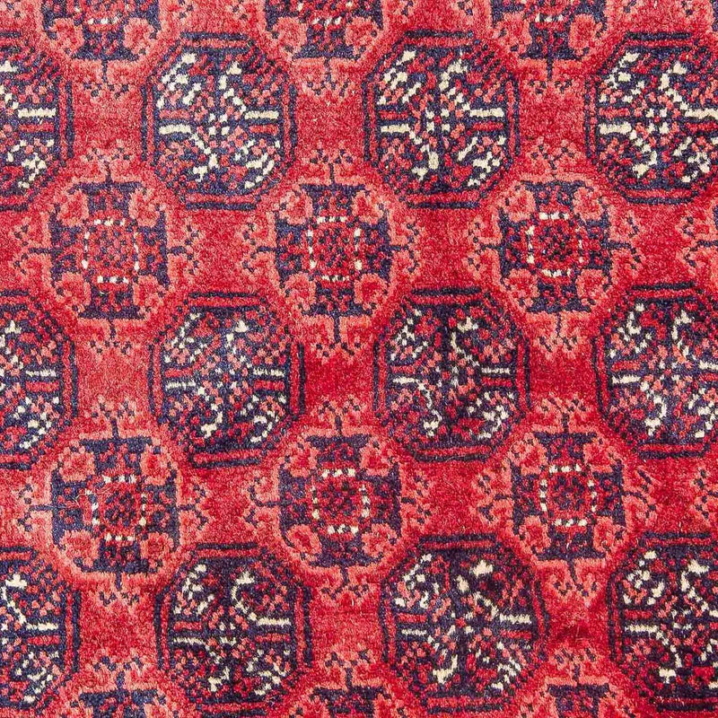 Afghaans tapijt - Bukhara - 299 x 195 cm - rood
