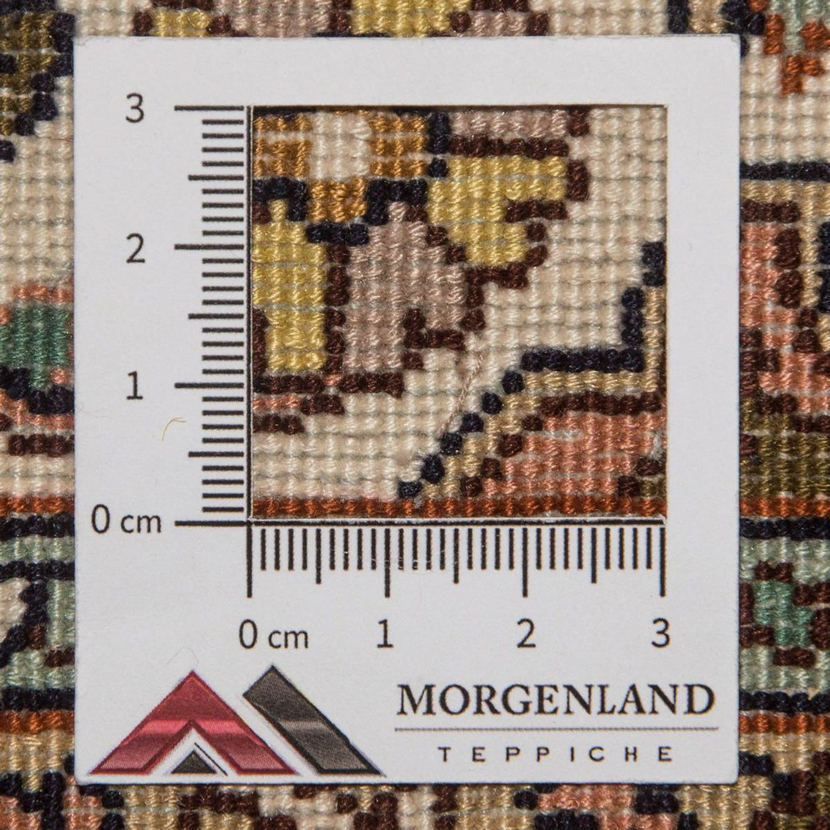 Loper Zijden tapijt - Kashmir Silk - 300 x 79 cm - beige