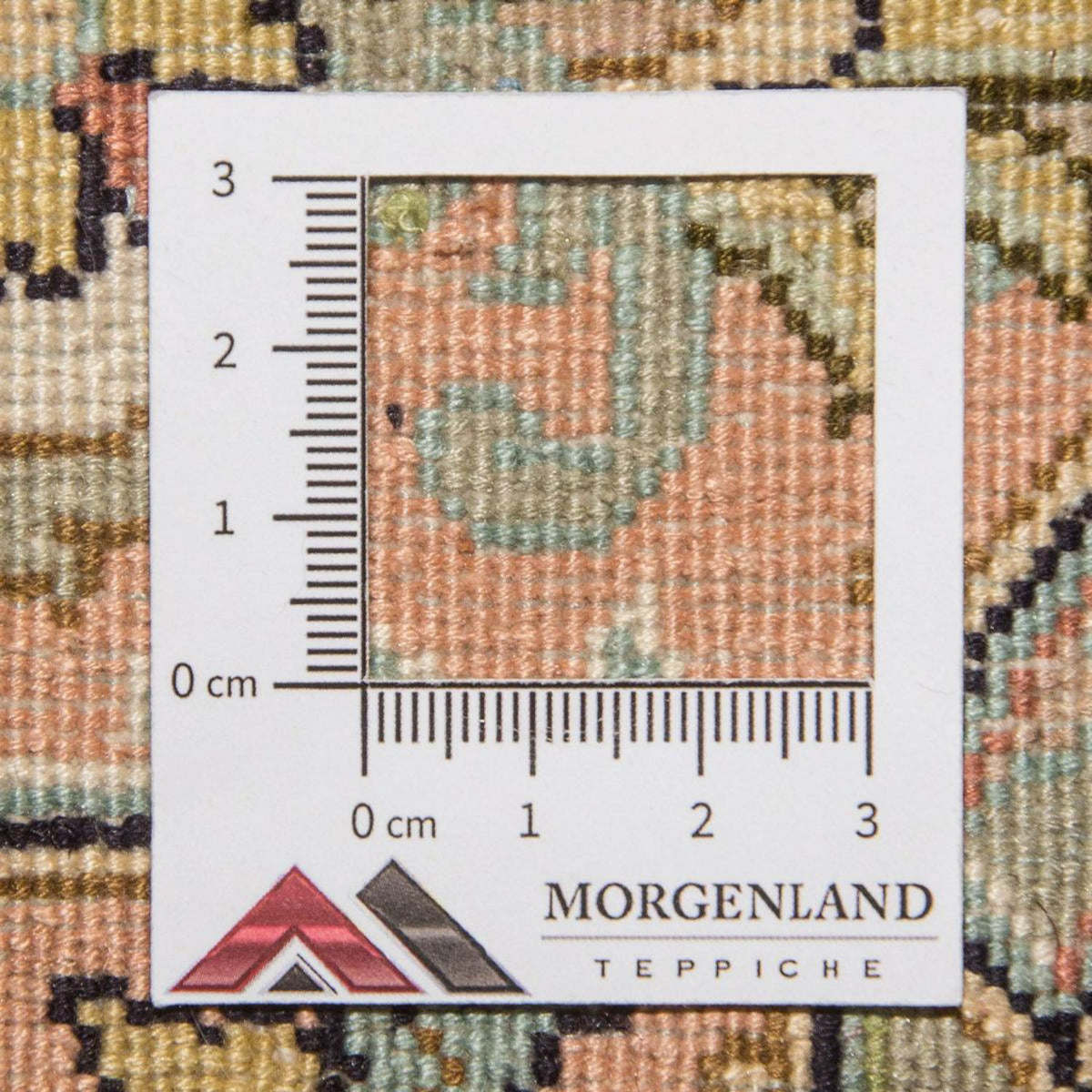 Zijden tapijt - Kashmir Silk - 335 x 243 cm - beige