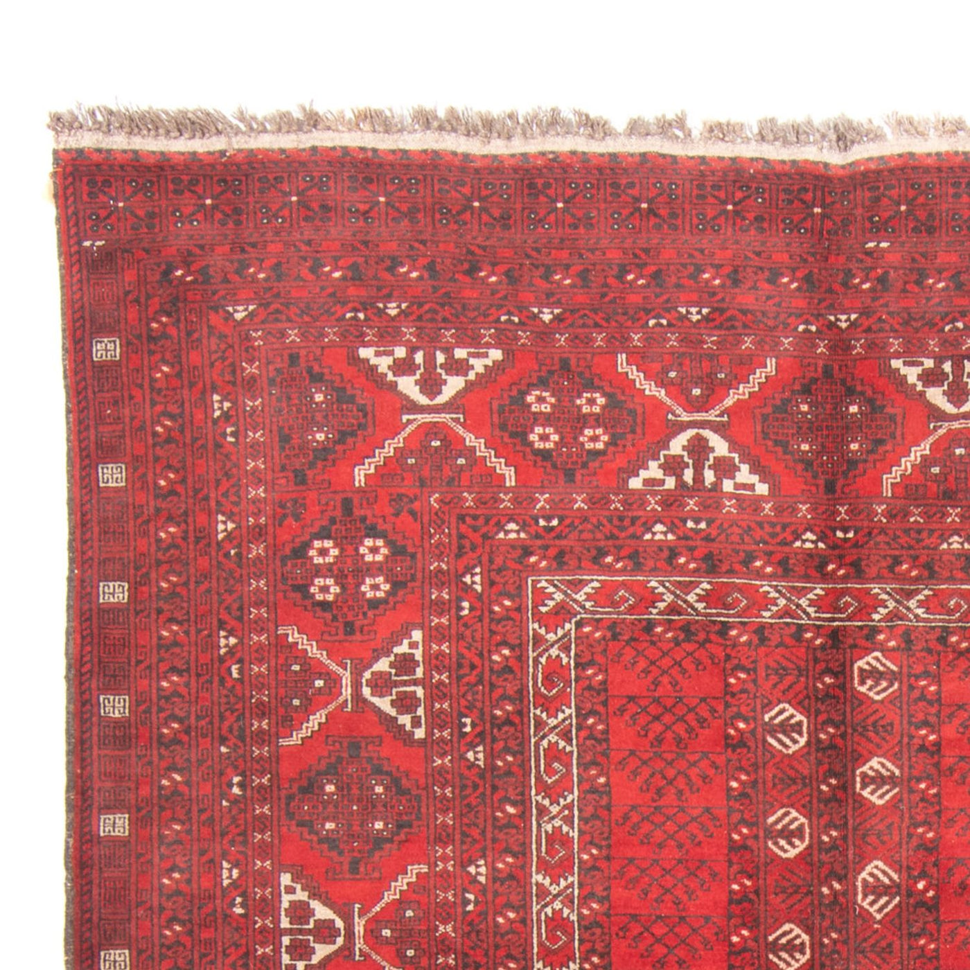 Turkaman tapijt 236x159cm - Perzisch tapijt