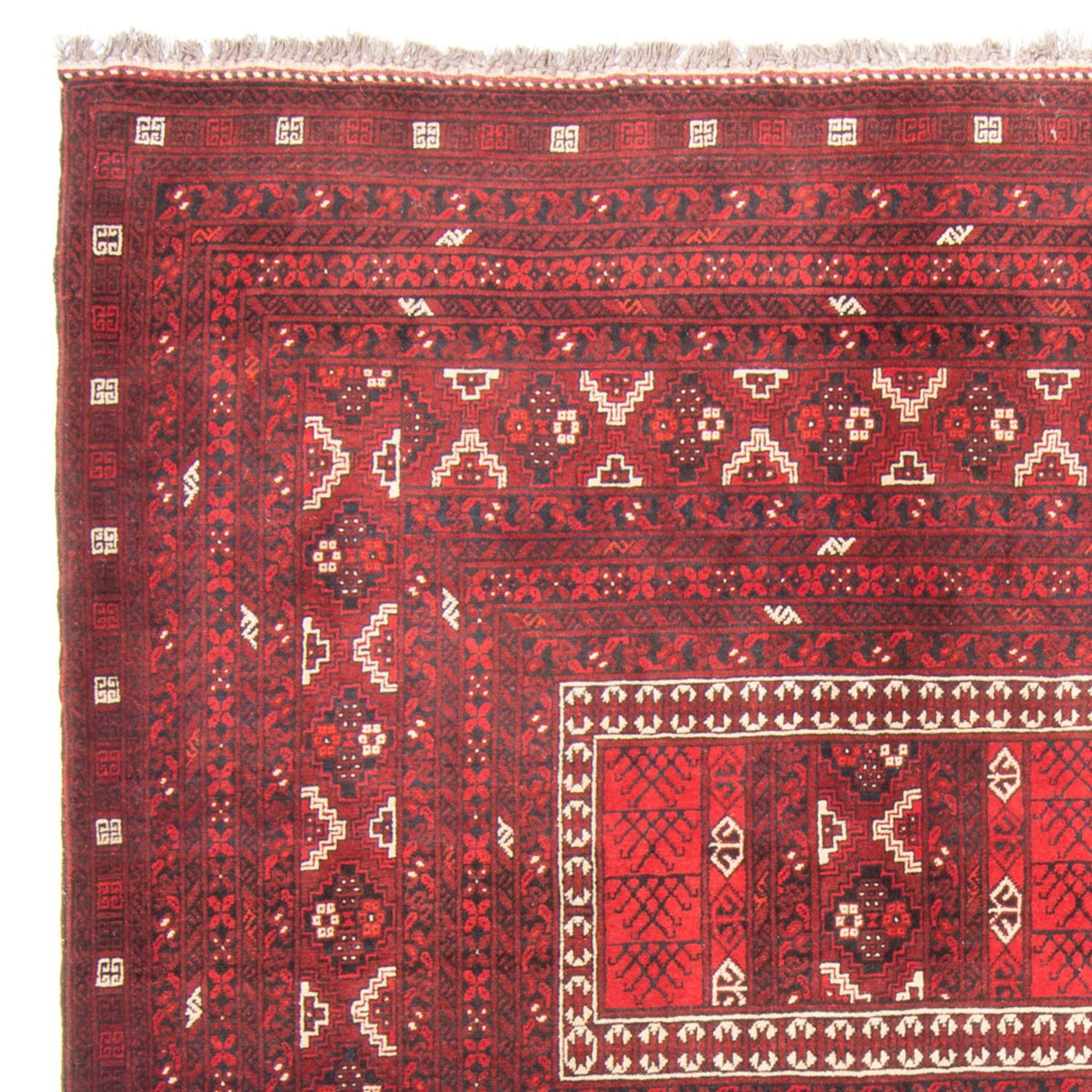 Turkaman tapijt 236x162cm - Perzisch tapijt