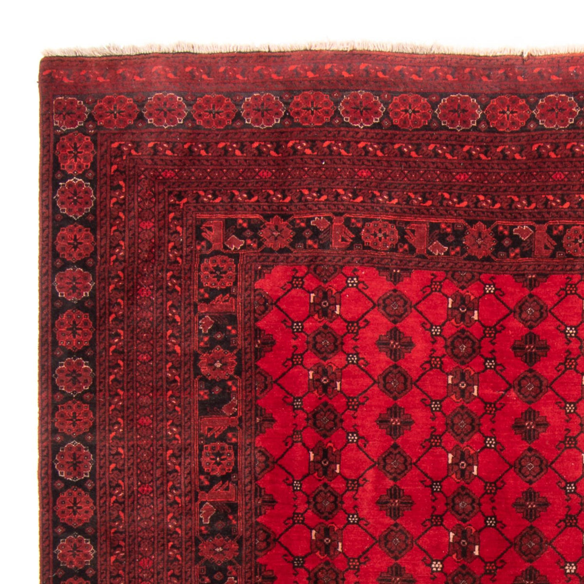 Turkaman tapijt - 257 x 178 cm - rood