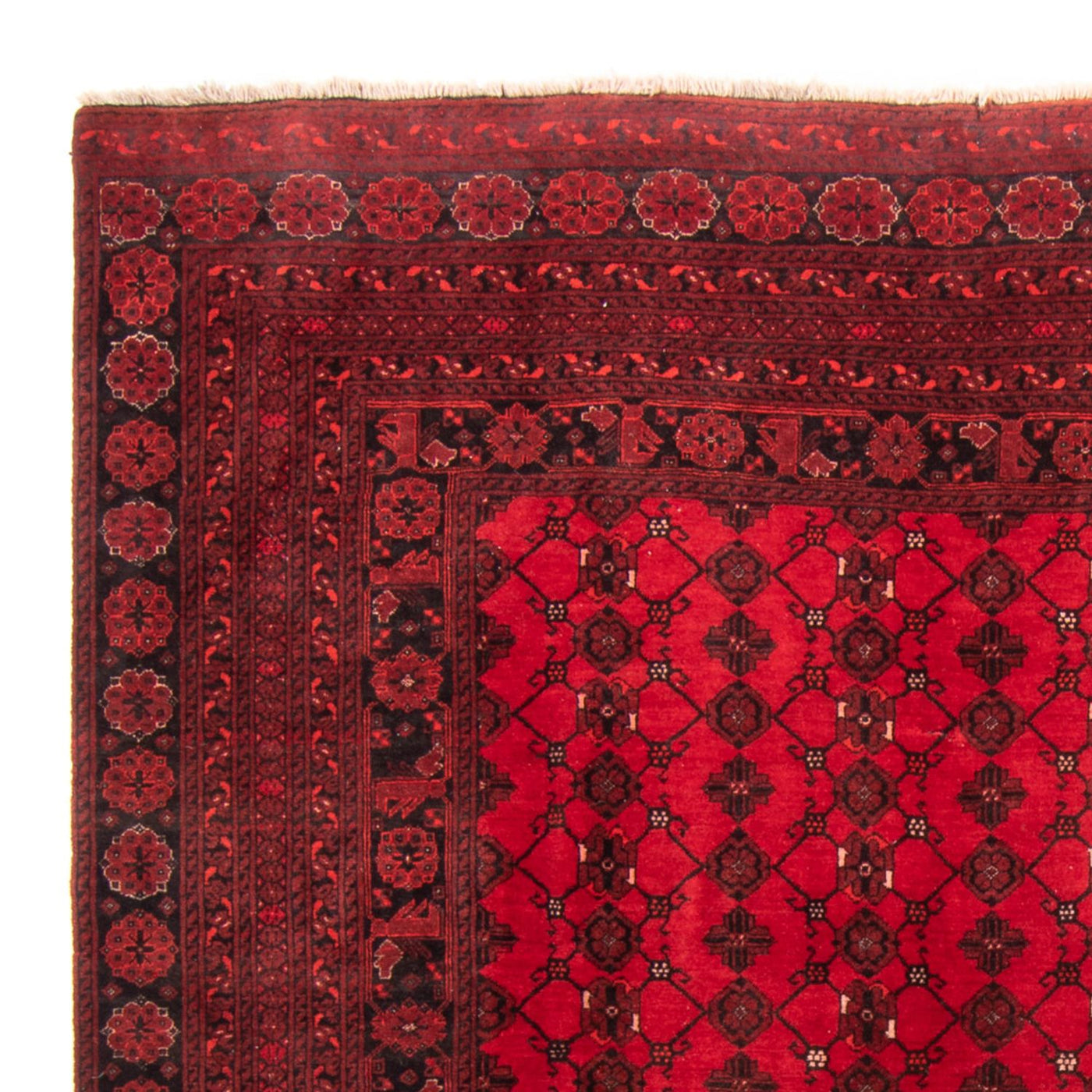 Turkaman tapijt 257x178cm - Perzisch tapijt
