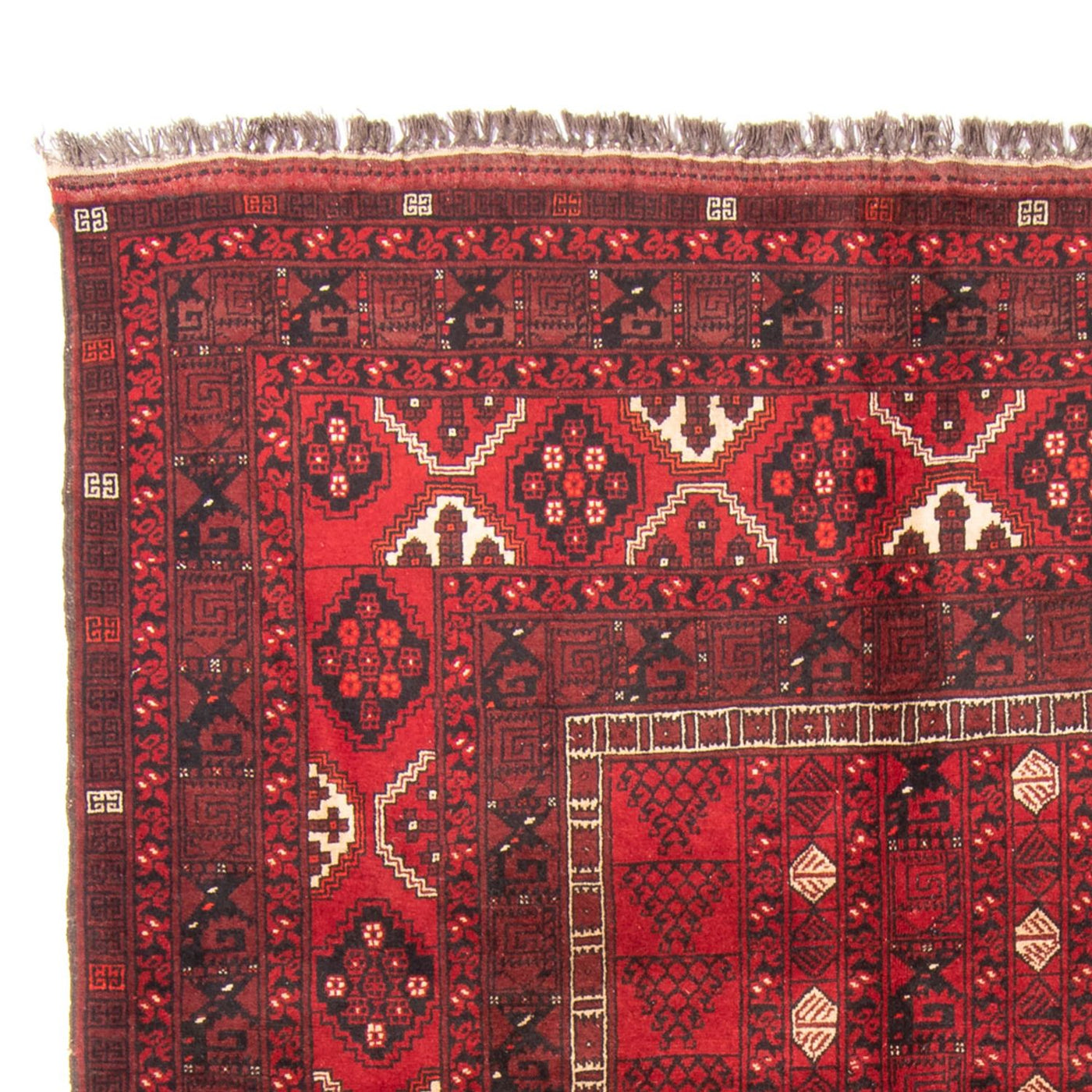 Turkaman tapijt 244x158cm - Perzisch tapijt