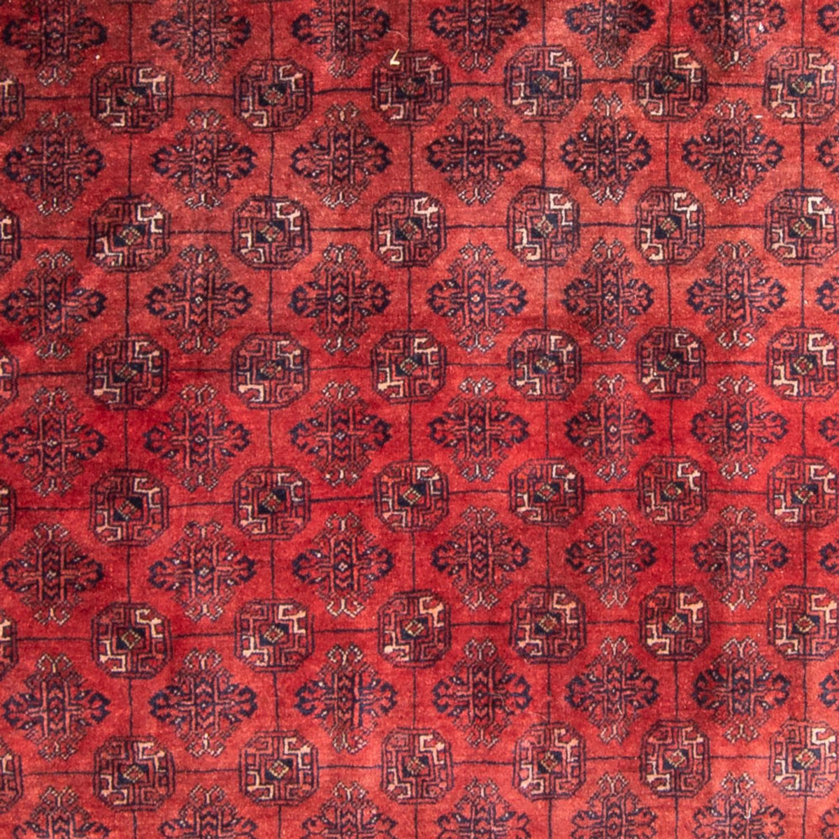 Turkaman tapijt - 305 x 202 cm - rood