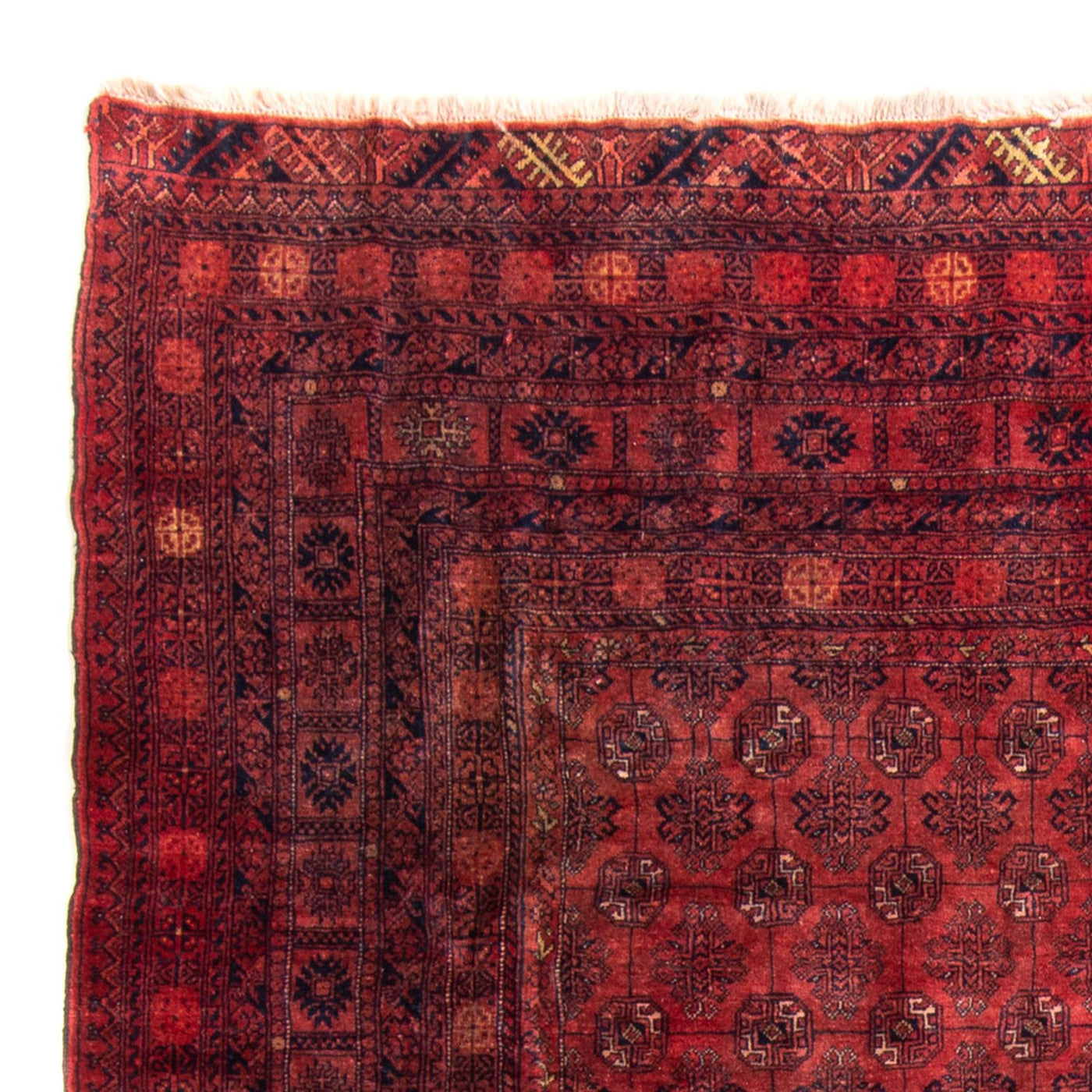 Turkaman tapijt - 305 x 202 cm - rood
