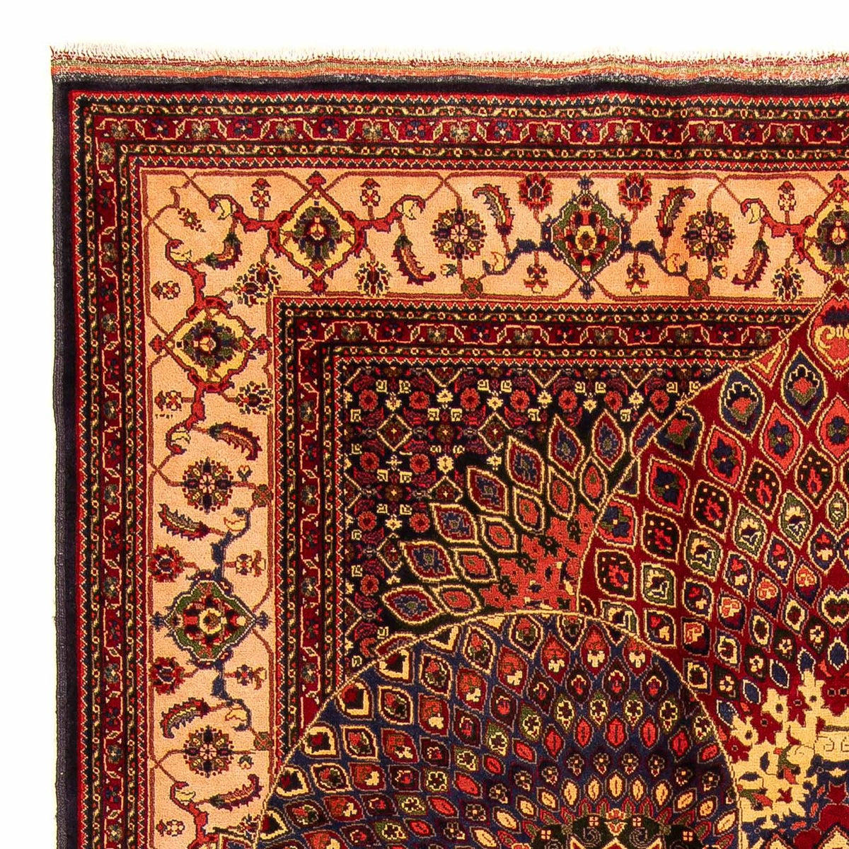 Afghaans tapijt 198x279cm - Oosters Tapijt