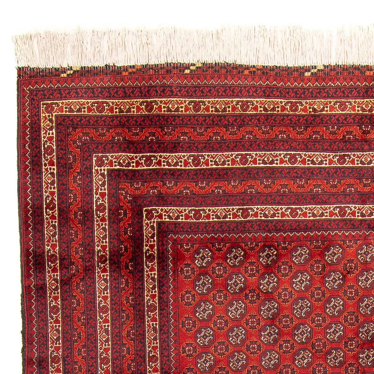 Afghaans tapijt - Bukhara - 300 x 200 cm - rood