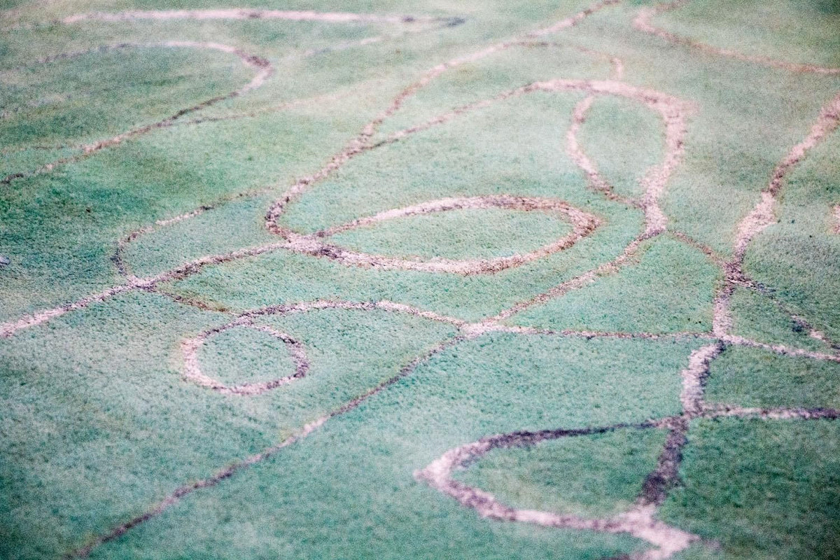 Designer tapijt - 244 x 154 cm - groen