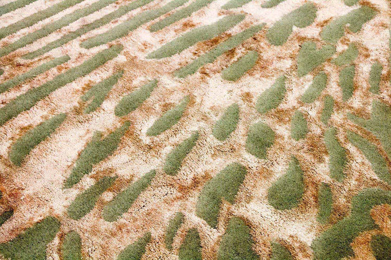 Designer tapijt - 240 x 152 cm - veelkleurig