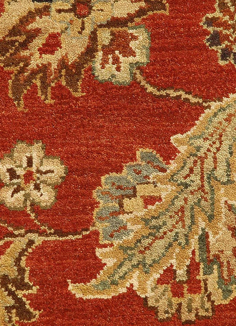 DP02-RUG1022573-300x240