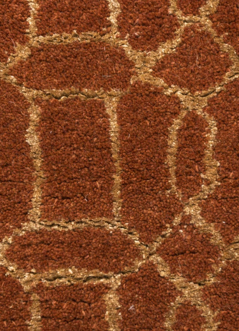 DP02-RUG1031096-240x150