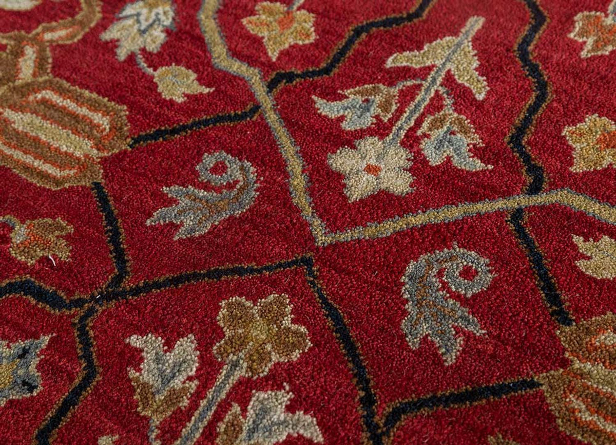 DP02-RUG1107139-300x240