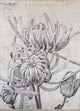 Designer tapijt 240x300cm - Designerteppich