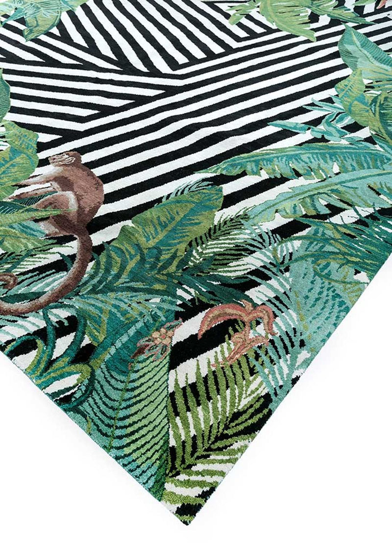 DP02-RUG1145116-270x180