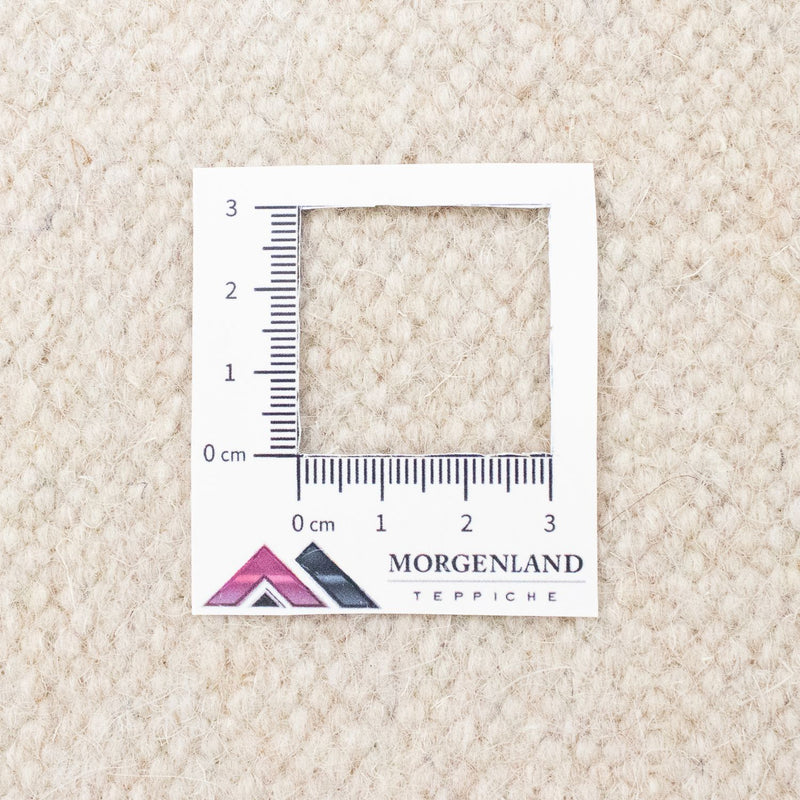 Kelim tapijt - Trendy - 300 x 200 cm - beige