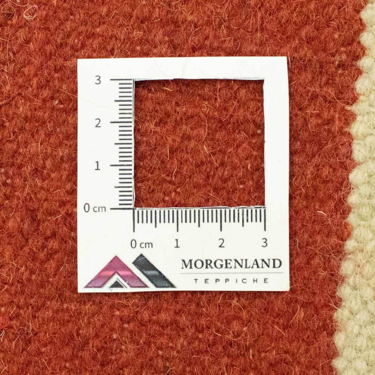 Kelim tapijt - Trendy - 300 x 200 cm - blauw