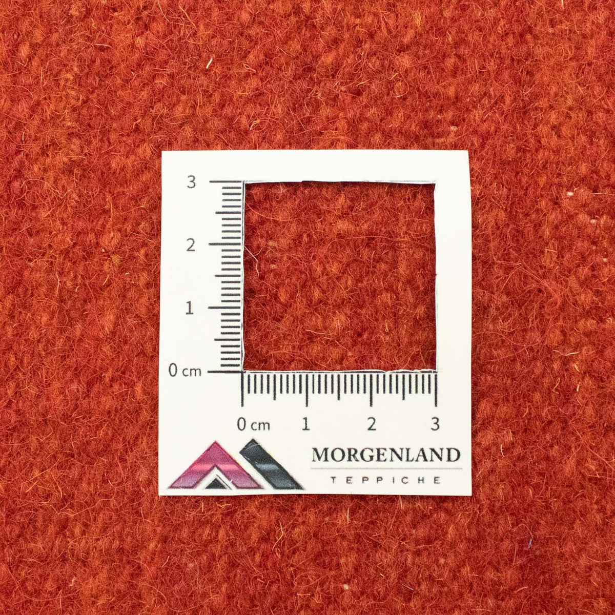 Kelim tapijt - Trendy - 300 x 200 cm - blauw