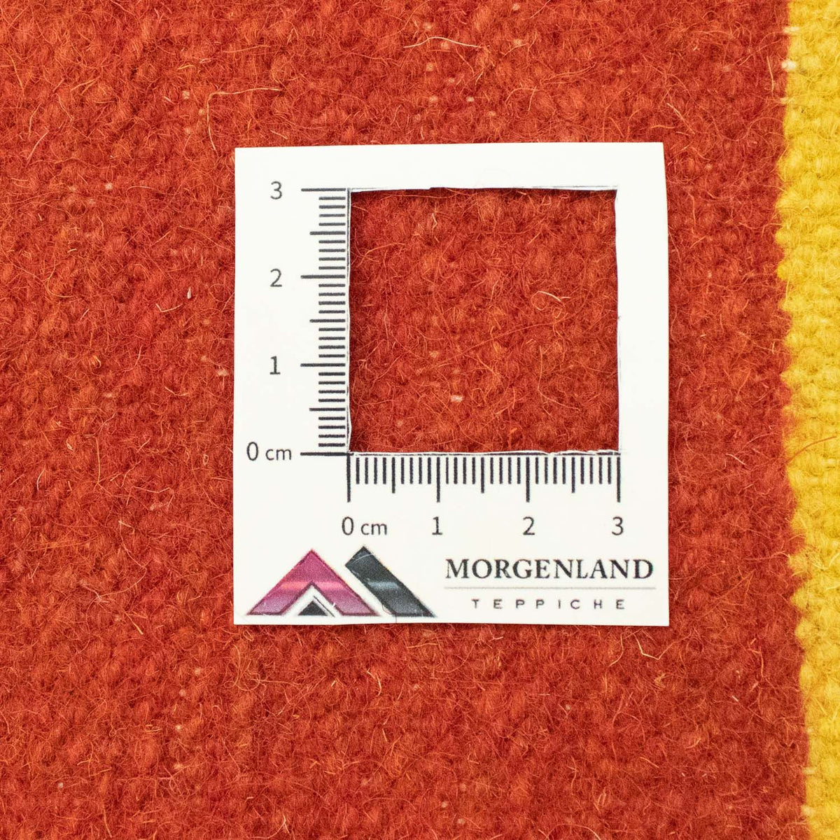 Kelim tapijt - Trendy - 300 x 200 cm - blauw