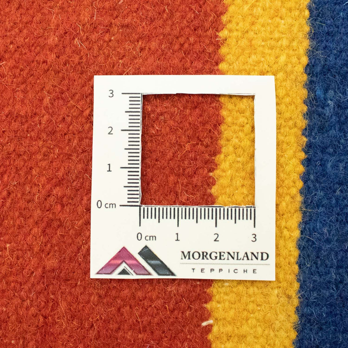 Kelim tapijt - Trendy - 300 x 200 cm - blauw