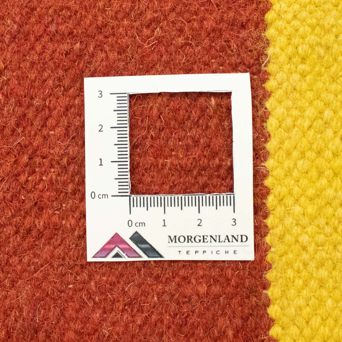 Kelim tapijt - Trendy - 300 x 200 cm - blauw