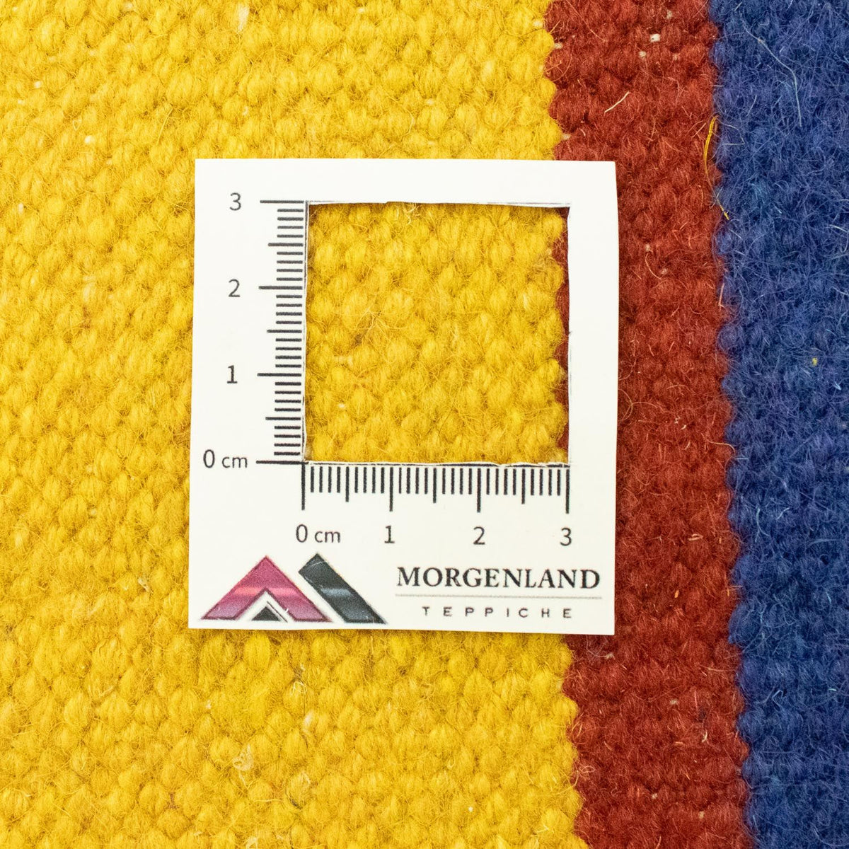 Kelim tapijt - Trendy - 300 x 200 cm - blauw