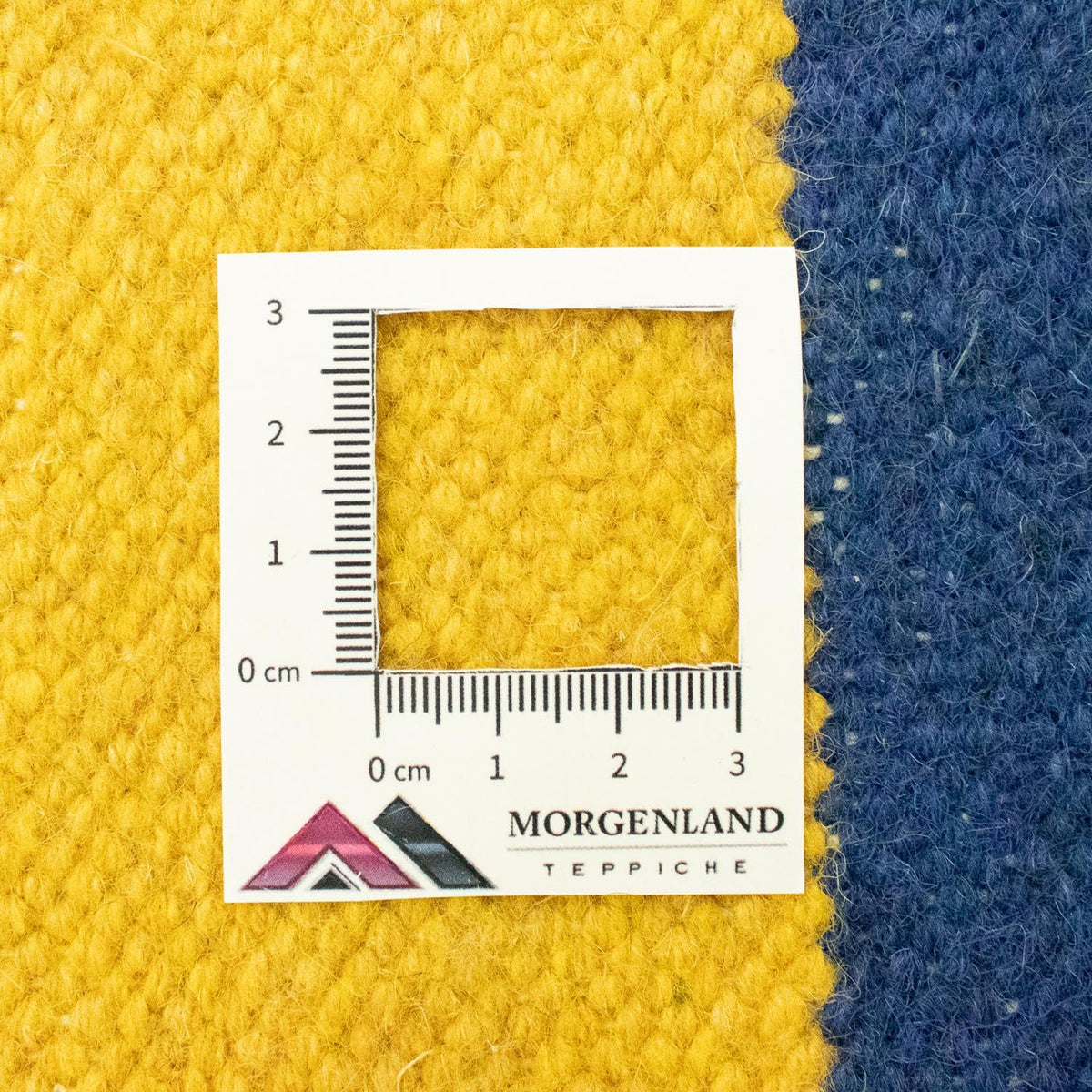 Kelim tapijt - Trendy - 300 x 200 cm - blauw