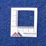 Kelim tapijt - Trendy - 300 x 200 cm - beige