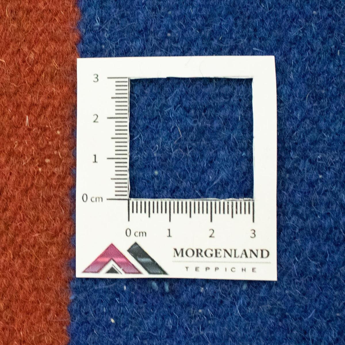 Kelim tapijt - Trendy - 300 x 200 cm - blauw