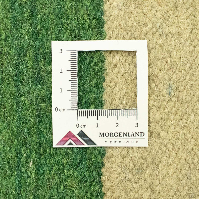 Kelim tapijt - Trendy - 300 x 200 cm - beige