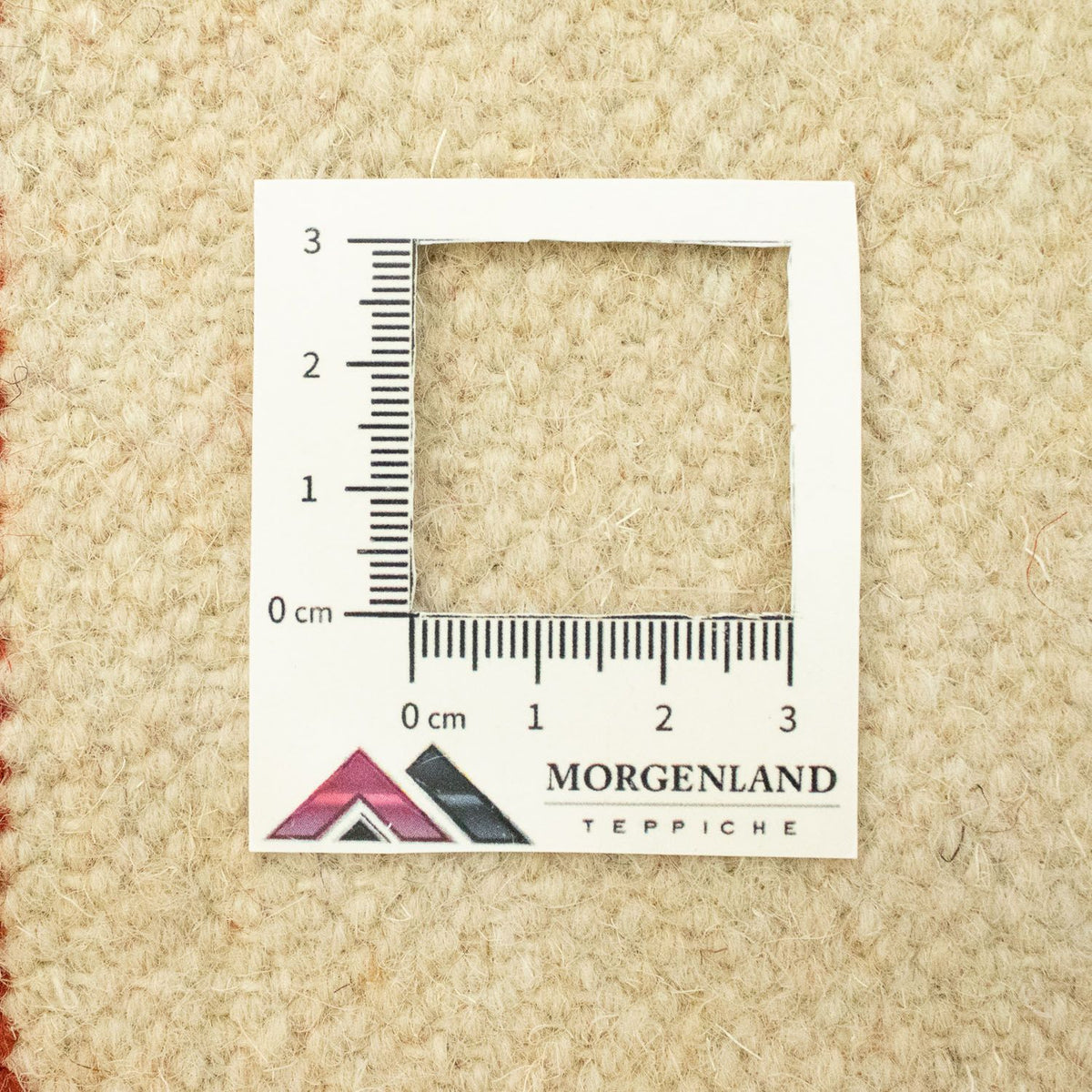 Kelim tapijt - Trendy - 300 x 200 cm - beige