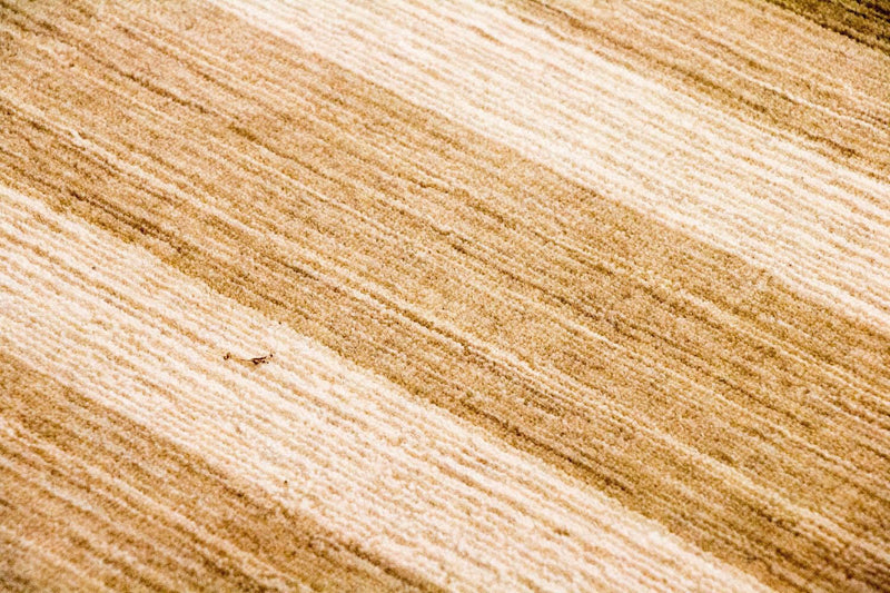 Wollen tapijt - 182 x 123 cm - veelkleurig