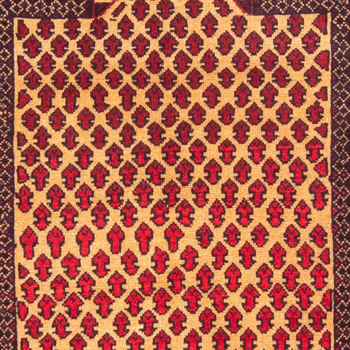 Baluch tapijt - Gebedskleed - 147 x 86 cm - beige