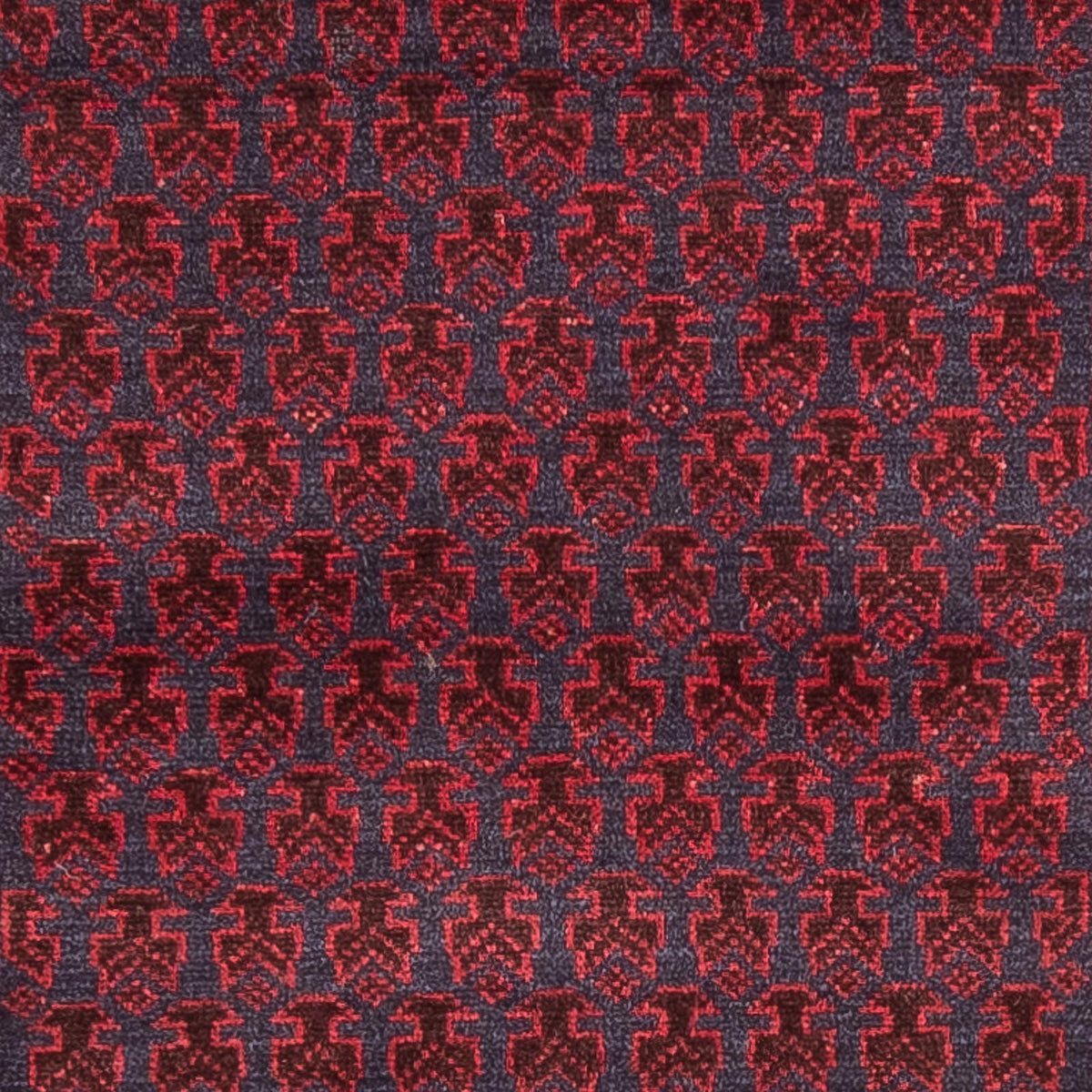 Baluch tapijt - Gebedskleed - 140 x 87 cm - blauw