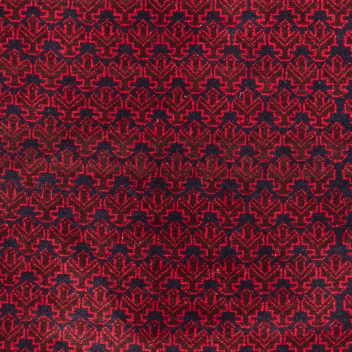 Baluch tapijt - Gebedskleed - 142 x 89 cm - blauw