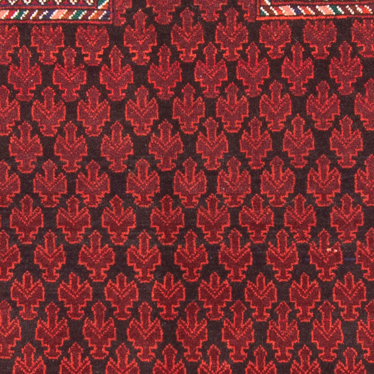 Baluch tapijt - Gebedskleed - 155 x 103 cm - rood