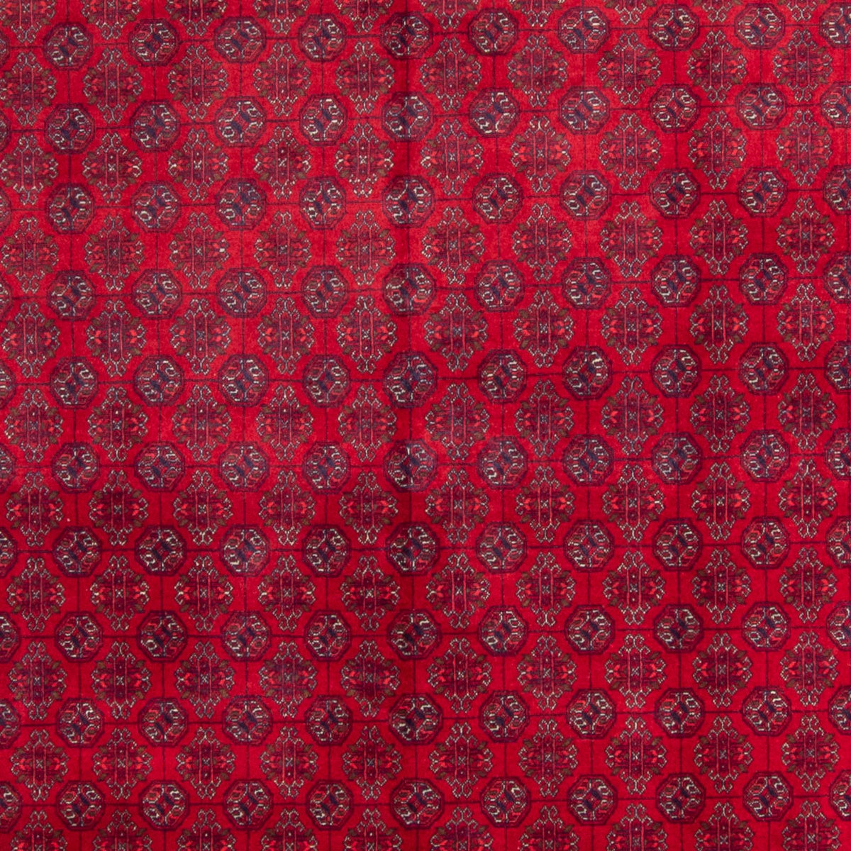 Afghaans tapijt - Bukhara - 340 x 240 cm - rood