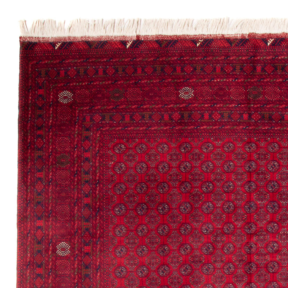 Afghaans tapijt - Bukhara - 340 x 240 cm - rood