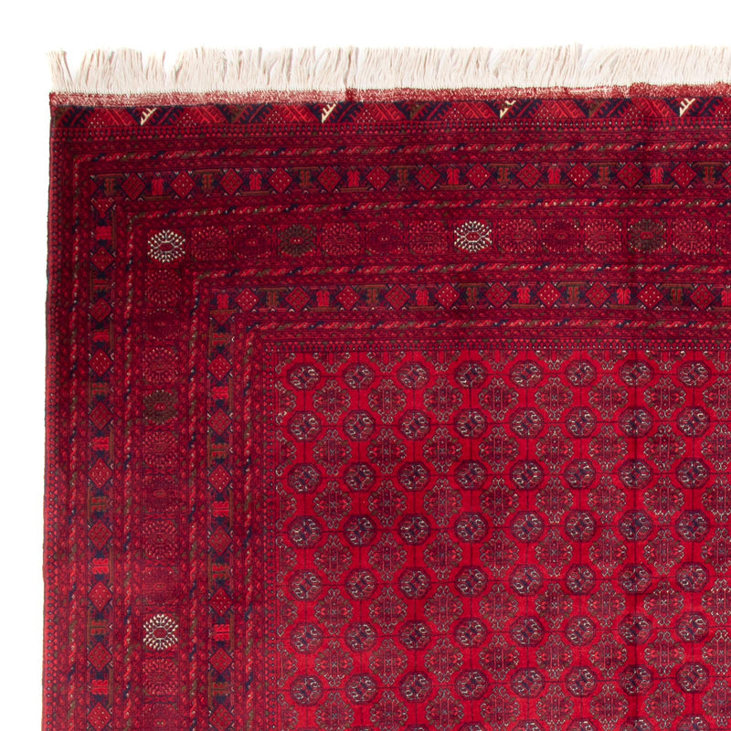 Afghaans tapijt - Bukhara - 340 x 240 cm - rood