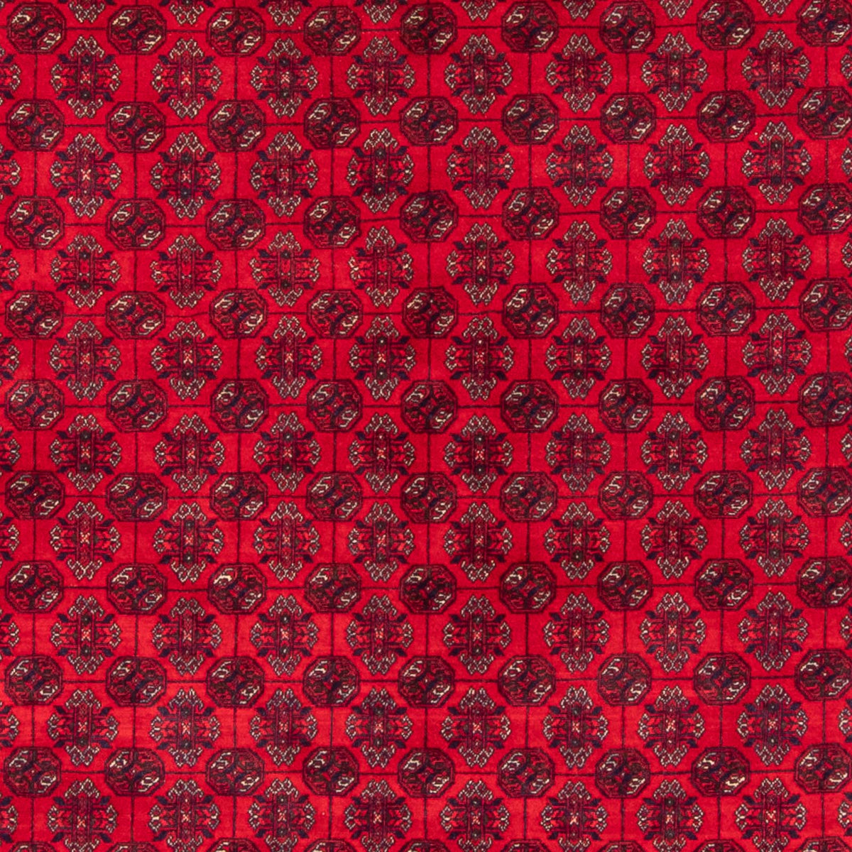 Afghaans tapijt - Bukhara - 290 x 196 cm - rood