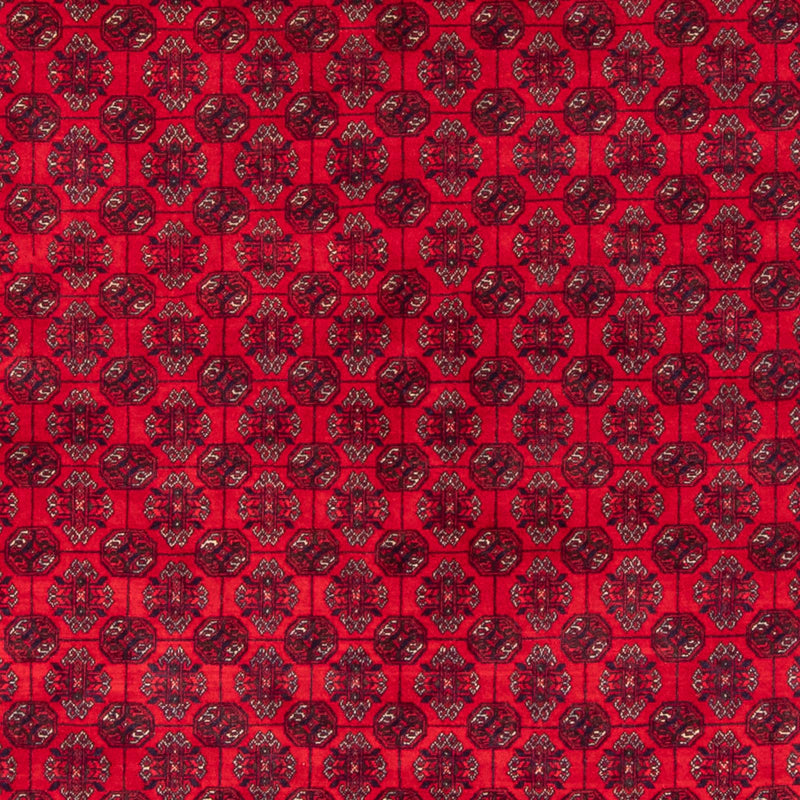 Afghaans tapijt - Bukhara - 290 x 196 cm - rood