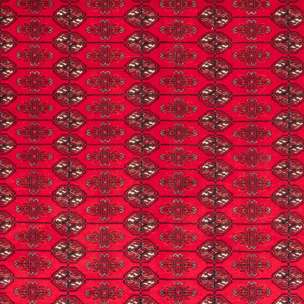 Afghaans tapijt - Bukhara - 282 x 200 cm - rood