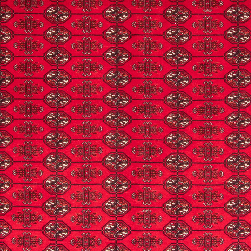 Afghaans tapijt - Bukhara - 282 x 200 cm - rood