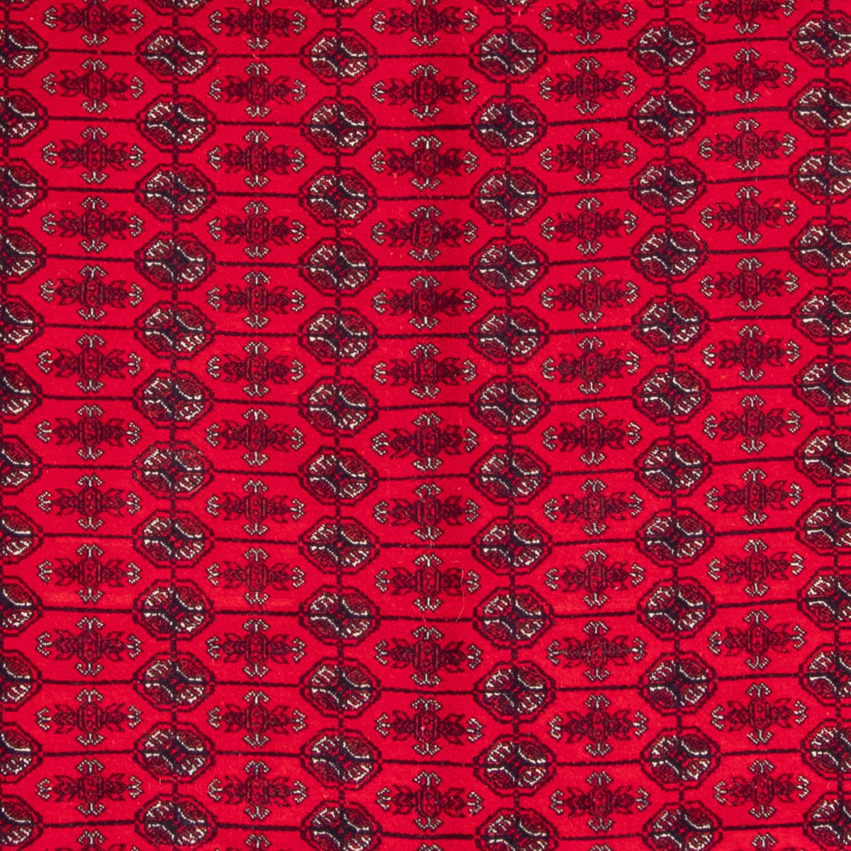 Afghaans tapijt - Bukhara - 292 x 200 cm - rood