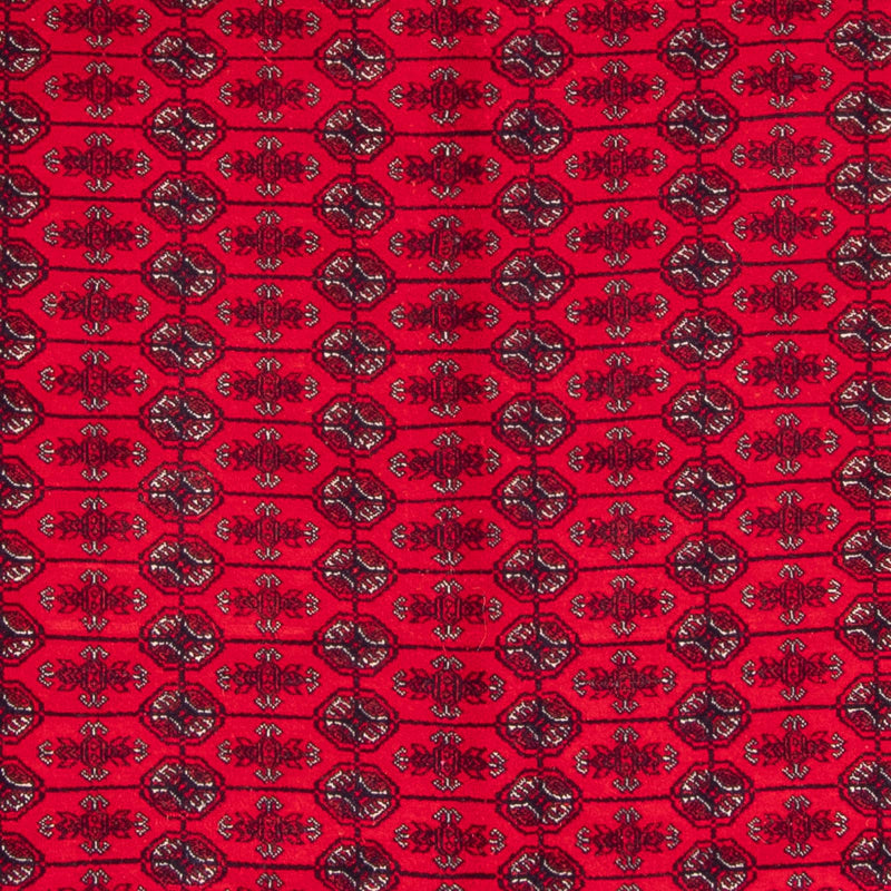 Afghaans tapijt - Bukhara - 292 x 200 cm - rood
