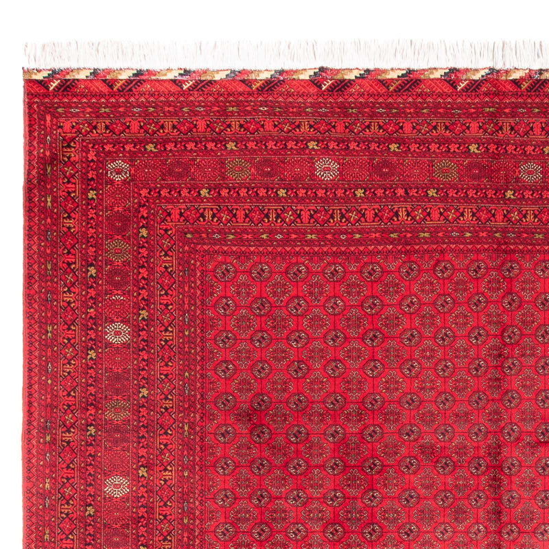 Afghaans tapijt - Bukhara - 385 x 300 cm - rood